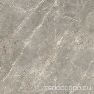 Керамогранит Florim Magnum Etoile De Rex Etoile Gris Mat 120x120 Серый 