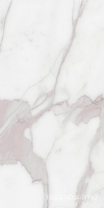 Керамогранит Benadresa Status  Pulido KL 60x120 Белый 