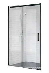 ACQUA-BF-1-120-C-NERO Душевая дверь | ZZ