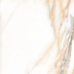 Calacatta Matt rec. ZZ|60x60