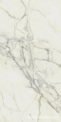 Marvel Calacatta Extra ZZ 60x120