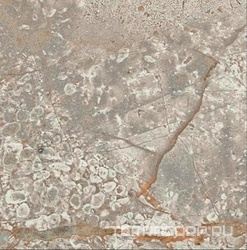 Empire Silver Root Bottone /ЭМПАИР СИЛЬВЕР РУТ ВСТАВКА 7,2x7,2