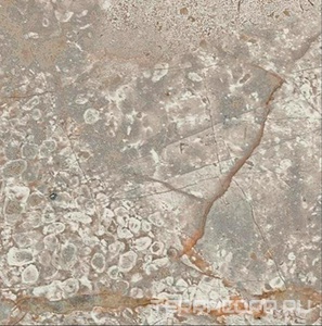 Керамогранит AtlasConcorde Россия EMPIRE Empire Silver Root Bottone /ЭМПАИР СИЛЬВЕР РУТ ВСТАВКА 7,2x7,2 Серый 