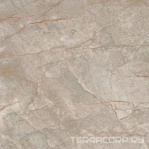 Керамогранит AtlasConcorde Россия EMPIRE Empire Silver Root 60x60 Lapp/ЭМПАИР СИЛЬВЕР РУТ 60x60 ЛАП Серый 