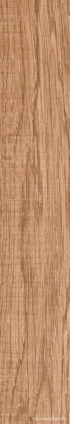 Керамогранит Gres de Aragon Ordesa Base Marron Lisco ZZ19.5x120 Коричневый, фото 5