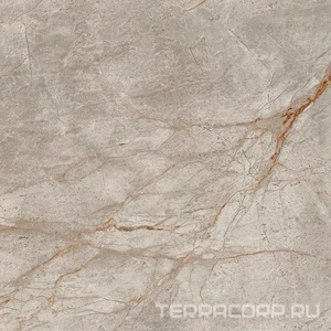 Керамический гранит (керамогранит) AtlasConcorde Россия Empire Silver Root Rett 80x80/ЭМПАИР СИЛЬВЕР РУТ РЕТ 80x80 Серый 