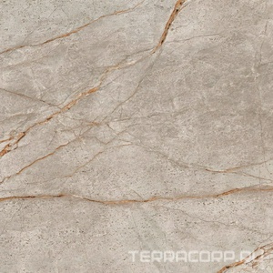 Керамический гранит (керамогранит) AtlasConcorde Россия Empire Silver Root Rett 80x80/ЭМПАИР СИЛЬВЕР РУТ РЕТ 80x80 Серый 