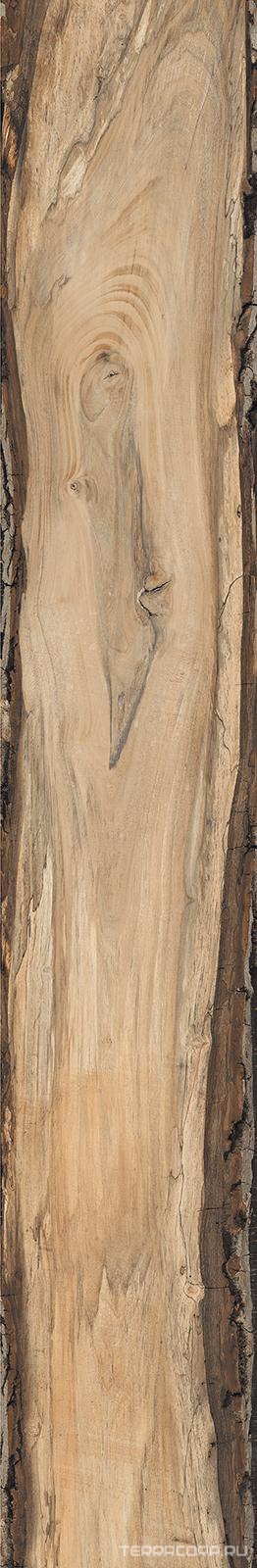 Керамогранит Sadon Sherwood Oak 24x150 Бежевый, фото 4