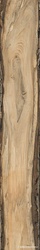 Sherwood Oak |24x150