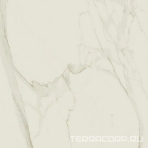Керамогранит AtlasConcorde Россия EMPIRE Empire Arabescato Rett 80x80/ЭМПАИР АРАБЕСКАТО РЕТ 80x80 XX Белый 