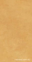Boost Pro Mustard 40x80 ZZ 40x80