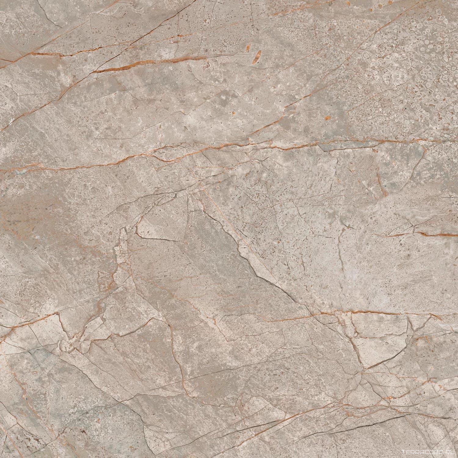 Керамогранит AtlasConcorde Россия EMPIRE Empire Silver Root 60x60 /ЭМПАИР СИЛЬВЕР РУТ 60x60 Серый, фото 7