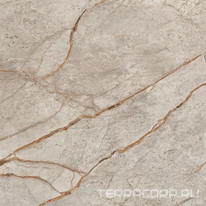 Керамогранит AtlasConcorde Россия EMPIRE Empire Silver Root 60x60 /ЭМПАИР СИЛЬВЕР РУТ 60x60 Серый 