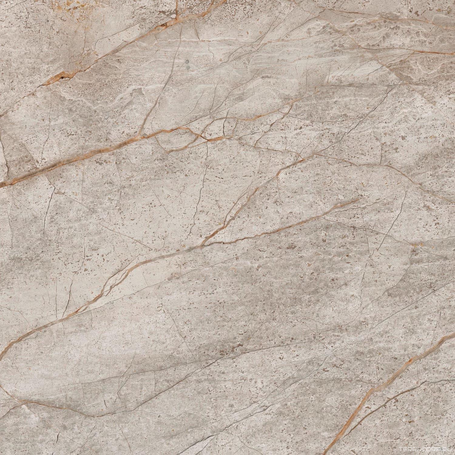 Керамогранит AtlasConcorde Россия EMPIRE Empire Silver Root 60x60 /ЭМПАИР СИЛЬВЕР РУТ 60x60 Серый, фото 5