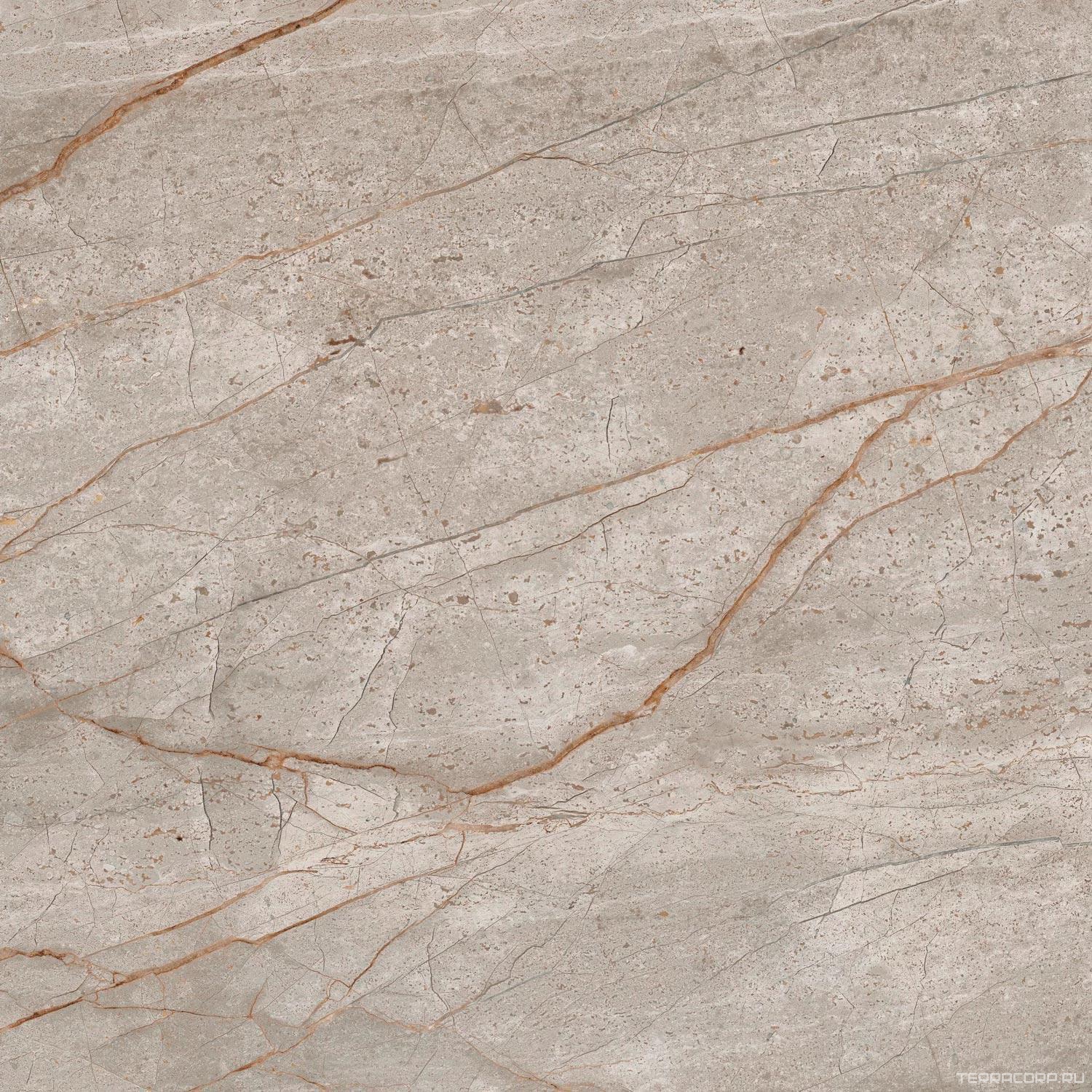 Керамогранит AtlasConcorde Россия EMPIRE Empire Silver Root 60x60 /ЭМПАИР СИЛЬВЕР РУТ 60x60 Серый, фото 6