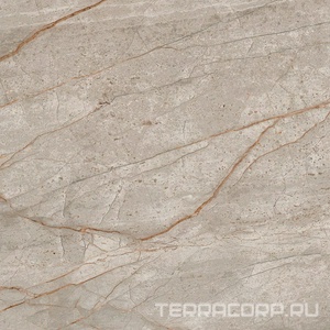 Керамогранит AtlasConcorde Россия EMPIRE Empire Silver Root 60x60 /ЭМПАИР СИЛЬВЕР РУТ 60x60 Серый 