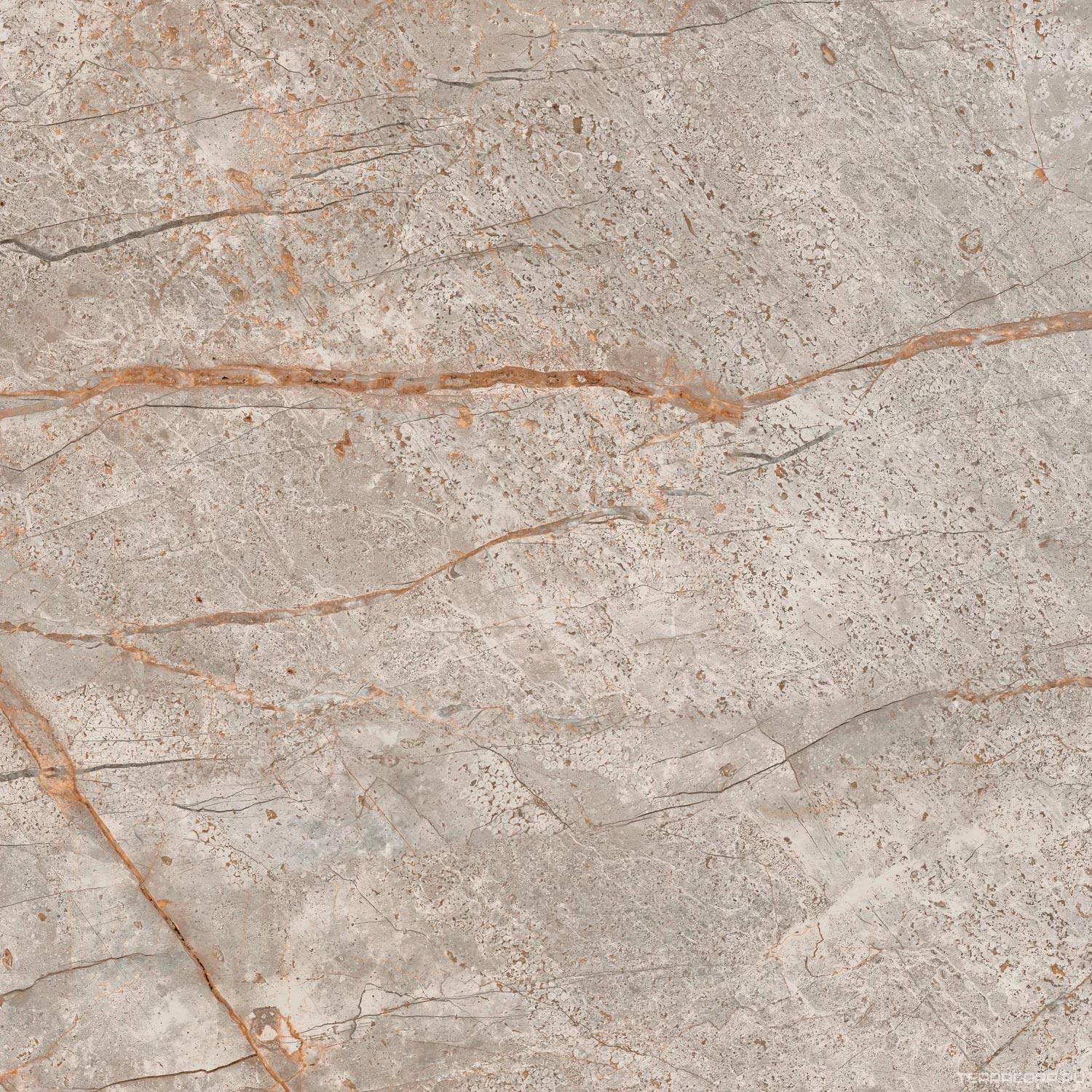 Керамогранит AtlasConcorde Россия EMPIRE Empire Silver Root 60x60 /ЭМПАИР СИЛЬВЕР РУТ 60x60 Серый, фото 3