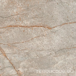 Керамогранит AtlasConcorde Россия EMPIRE Empire Silver Root 60x60 /ЭМПАИР СИЛЬВЕР РУТ 60x60 Серый 