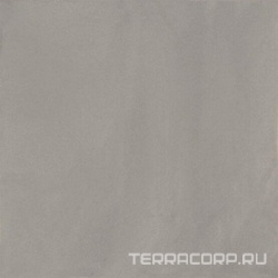 Delight Grey  ZZ|13,8x13,8