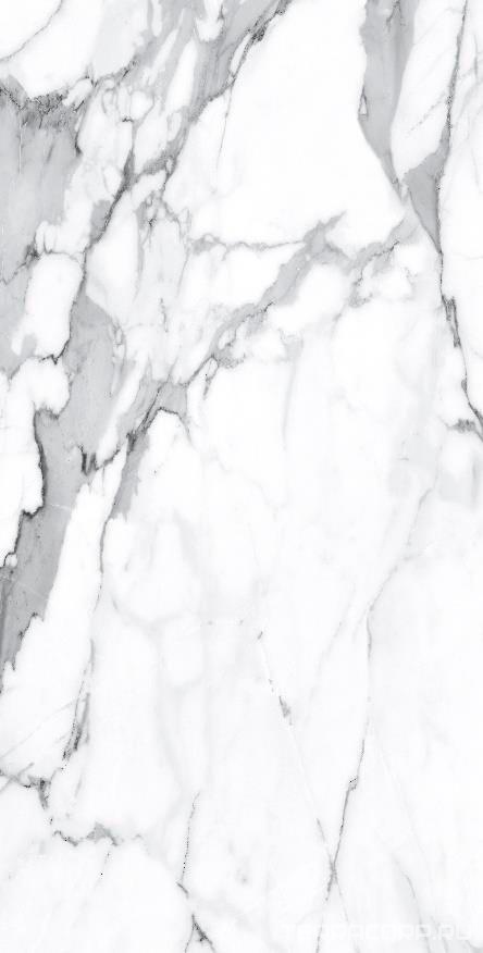 Керамогранит Alpas Euro Premium Marble Visage Grey Plus Pol. 60x120 Белый, фото 6