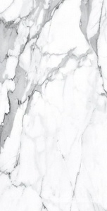 Керамогранит Alpas Euro Premium Marble Visage Grey Plus Pol. 60x120 Белый 