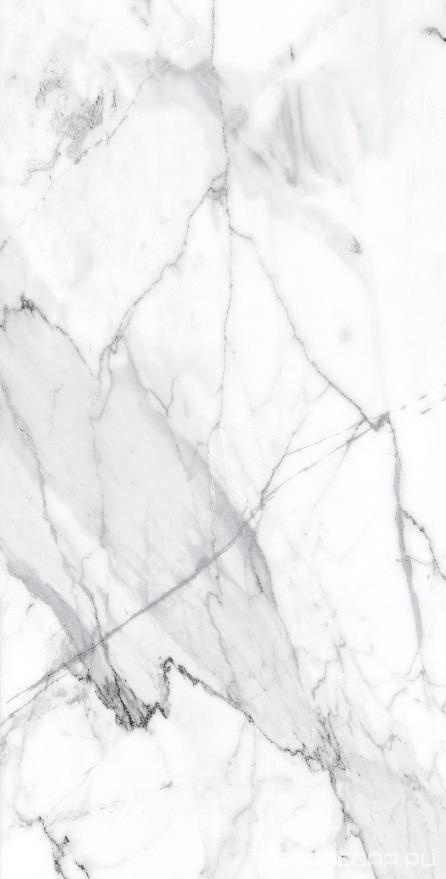 Керамогранит Alpas Euro Premium Marble Visage Grey Plus Pol. 60x120 Белый, фото 3