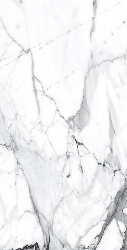 Керамогранит Alpas Euro Premium Marble Visage Grey Plus Pol. 60x120 Белый, фото 4
