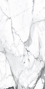 Керамогранит Alpas Euro Premium Marble Visage Grey Plus Pol. 60x120 Белый 