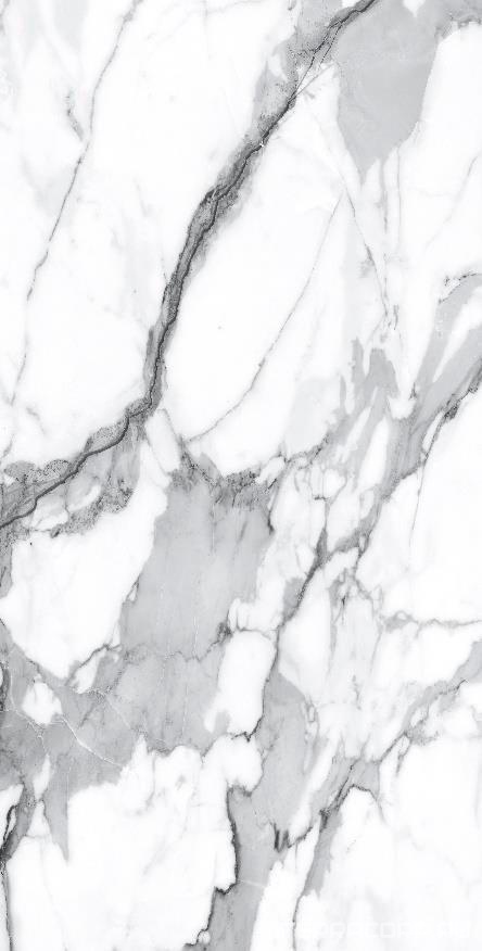 Керамогранит Alpas Euro Premium Marble Visage Grey Plus Pol. 60x120 Белый, фото 7