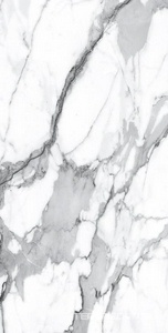 Керамогранит Alpas Euro Premium Marble Visage Grey Plus Pol. 60x120 Белый 