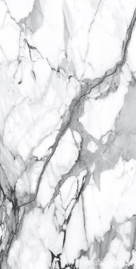 Керамогранит Alpas Euro Premium Marble Visage Grey Plus Pol. 60x120 Белый, фото 5