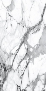 Керамогранит Alpas Euro Premium Marble Visage Grey Plus Pol. 60x120 Белый 