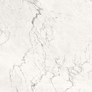 Керамогранит La Faenza Aesthetica AE CAL6 120 LP (п.п.)ZZ 120x120 Белый 