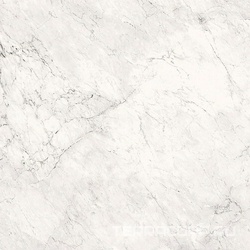 AE CAL6 120 LP (п.п.)ZZ |120x120