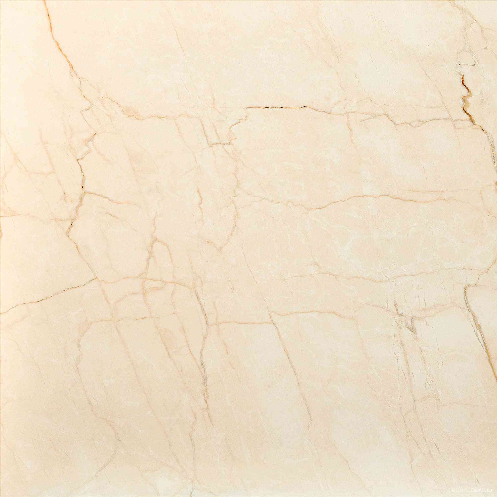Crema Avorio Mat Ret ZZ |60x60