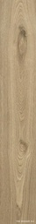 Koen Caramello matt/rett XXZZ|20x120