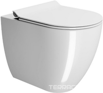 Унитаз напольный, пристенный 360х550мм, безободковый, монтаж со скрыт в стене бачком, без сиденья, без креплений к полу арт.FVB,  ZZ GSI Pura 881011