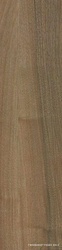 Nuances Sandalo RT ZZ |22.5x90