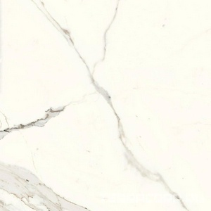 Керамогранит Ariostea Marmi Classici Bianco Calacatta Soft 60x60 Белый 