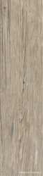 Jungle Mud XX|15x61