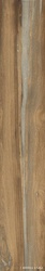 Infinity (Infusion) Oak 24x150