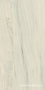 Керамогранит Atlas Concorde Italy Marvel Dream Marvel Bianco Fantastico Lappato 120x240 Белый 