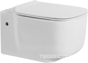 Унитаз подвесной, 550х370х350мм, без сиденья, крепеж в компл., Vaso ZZ