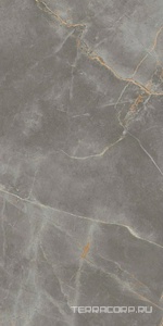 Керамогранит Atlas Concorde Italy Marvel X Marvel Fior di Bosco Matt 60x120 Коричневый 