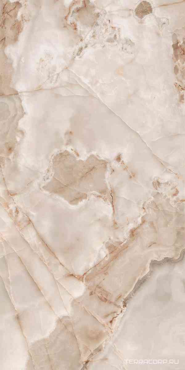 Noisette Glossy ZZ 120x240