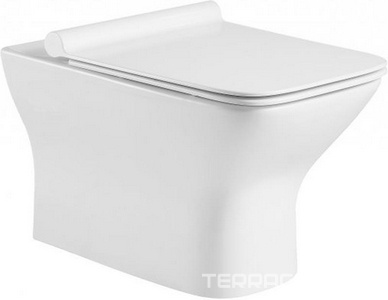 Унитаз подвесной, безободковый, без сиденья, крепеж в компл.,  ZZ BelBagno Romano BB248CHR-SM