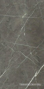 Керамогранит Florim Prexious of Rex Charming Amber Matte 60x120 Серый 