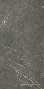 Керамогранит Florim Prexious of Rex Charming Amber Matte 60x120 Серый 