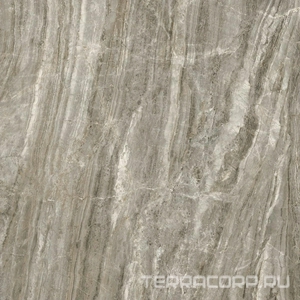 Керамогранит Ariostea Ultra Marmi Daino Grigio Luc Silk 6 mm 75x75 Комбинированный 