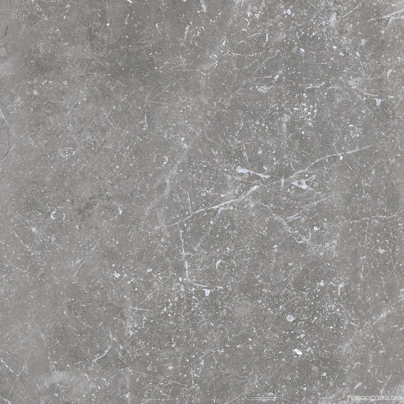 Керамогранит Benadresa Pietra Antica Grigio 80x80 Серый, фото 7